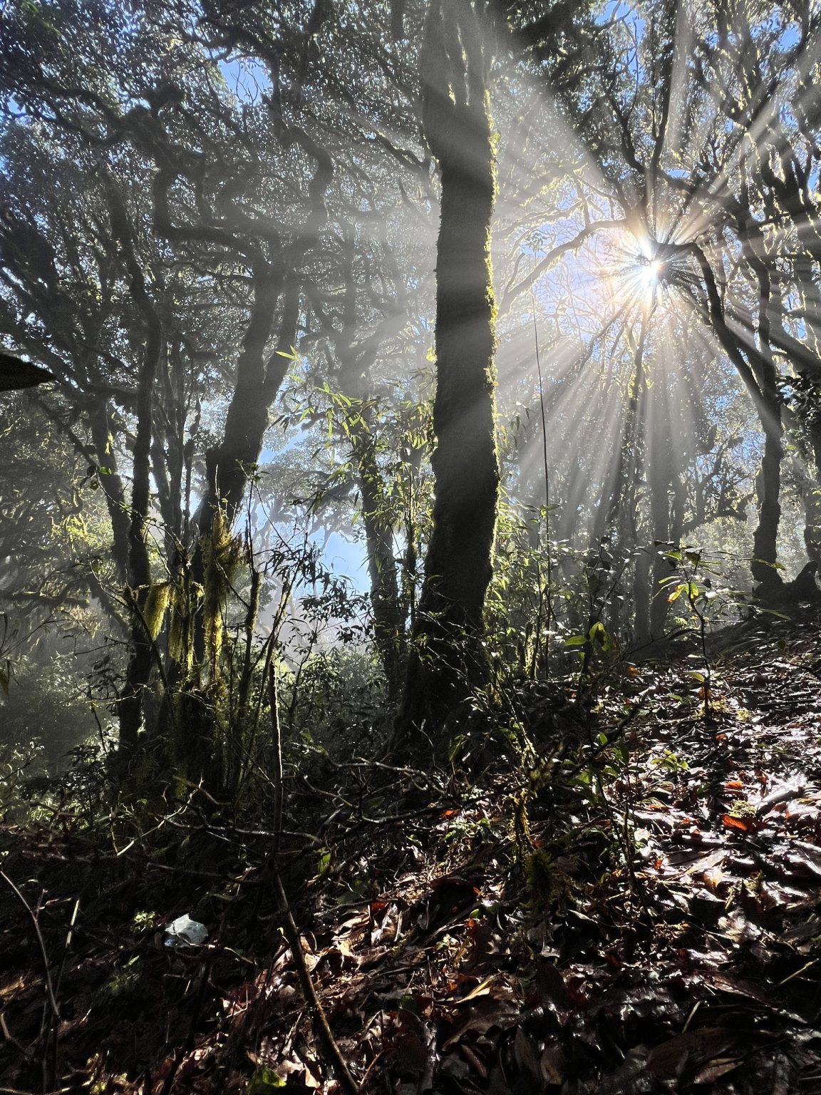 2 Days / 1 Night Climbing Tour : Tay Con Linh Mountain