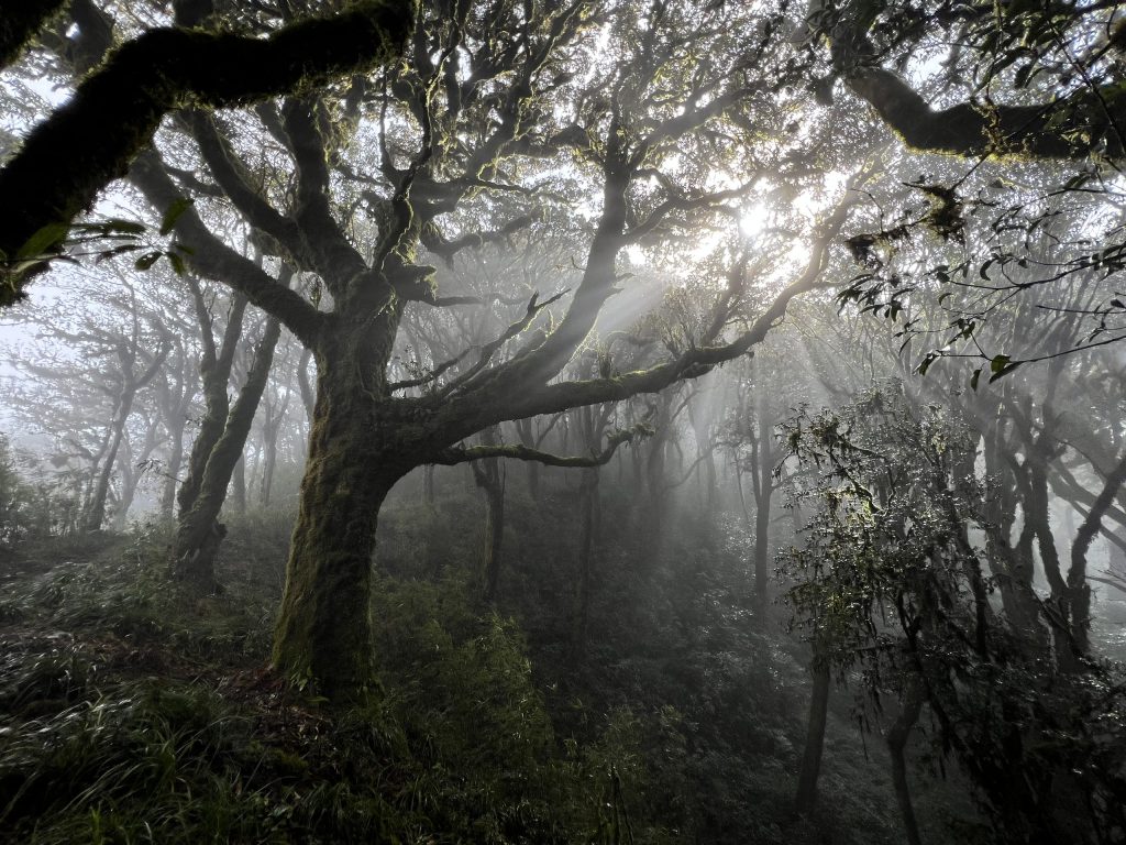 3 Days / 2 Nights Climbing Tour : Tay Con Linh Mountain