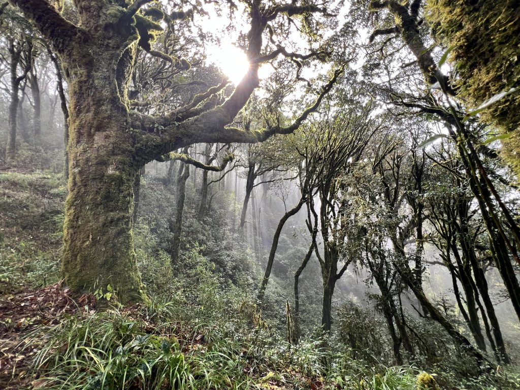 3 Days / 2 Nights Climbing Tour : Tay Con Linh Mountain