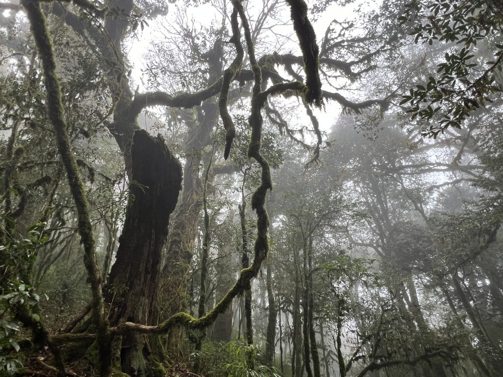 3 Days / 2 Nights Climbing Tour : Tay Con Linh Mountain