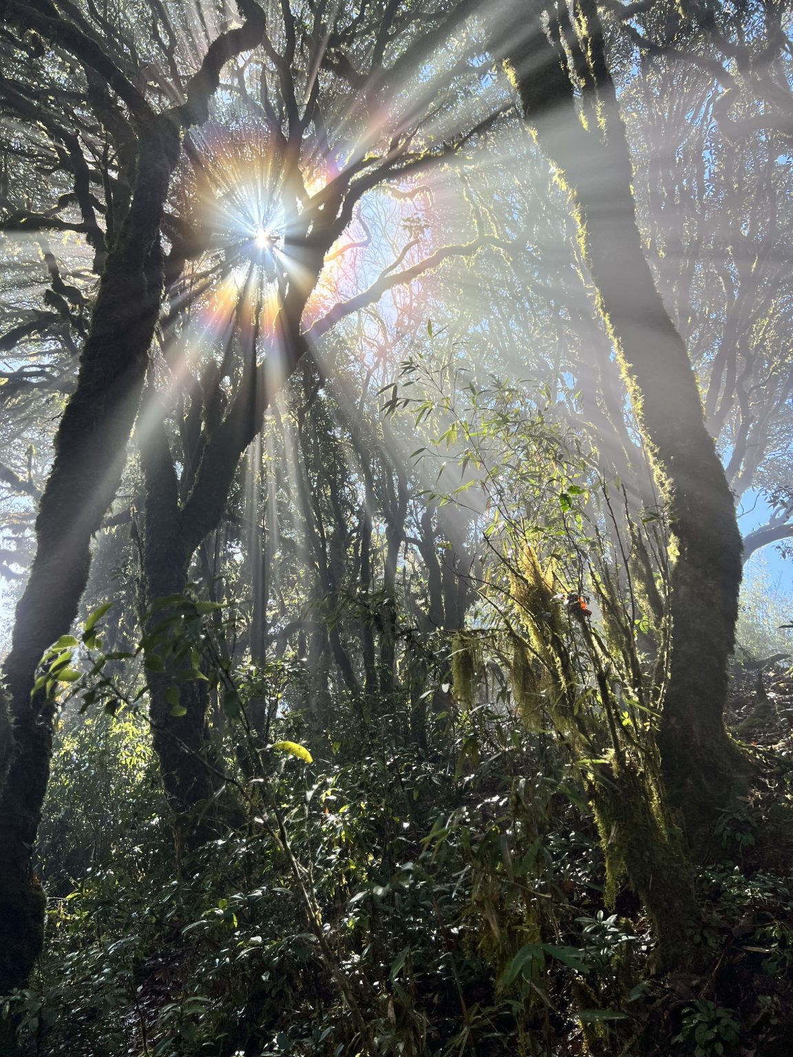 3 Days / 2 Nights Climbing Tour : Tay Con Linh Mountain