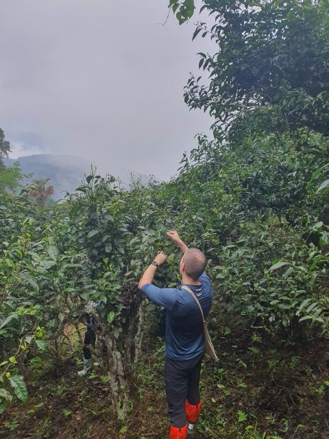 1 Day Walking Tour :  Na Thac- Tay Con Linh