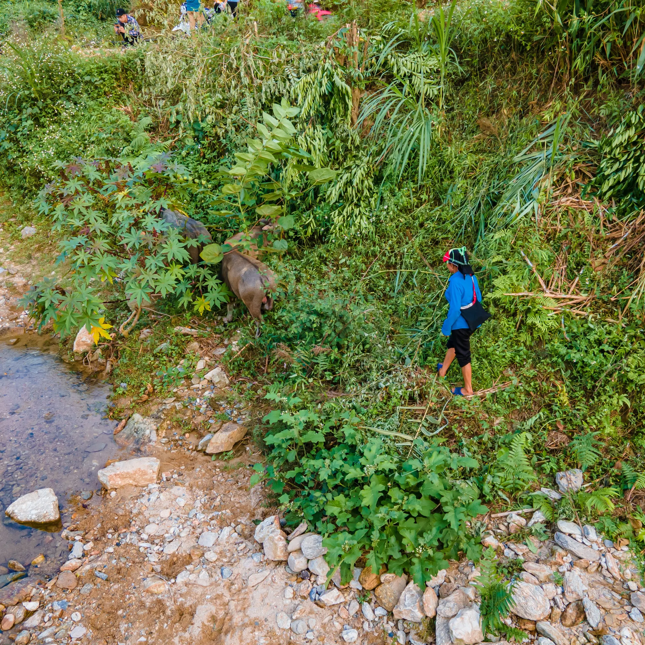 Khuoi My – Lung Vai- Na Mau – Xa Phin- Hươu waterfall- Nam Te Trekking tour 2 days 1 night