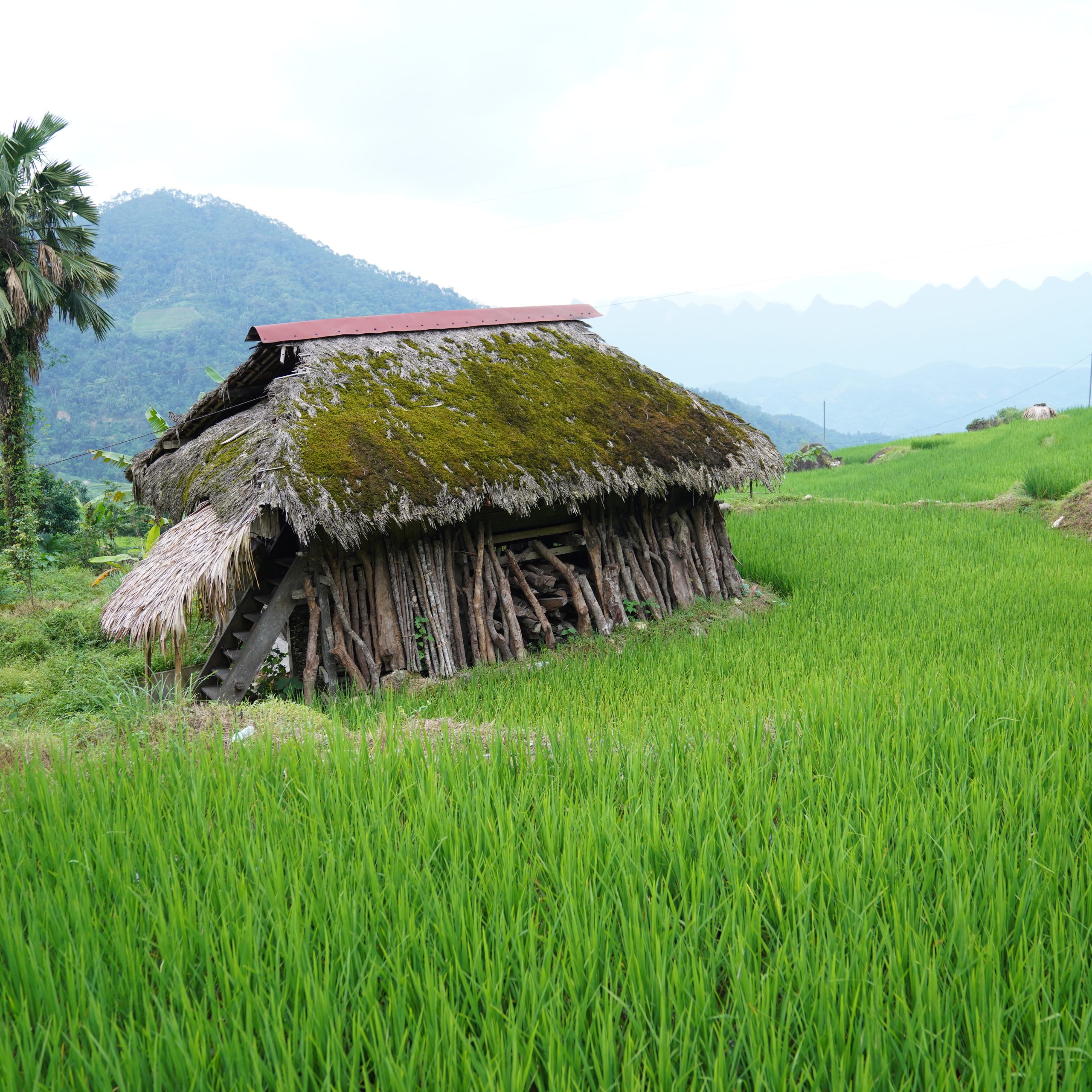 Khuoi My – Lung Vai- Na Mau – Xa Phin- Hươu waterfall- Nam Te Trekking tour 2 days 1 night
