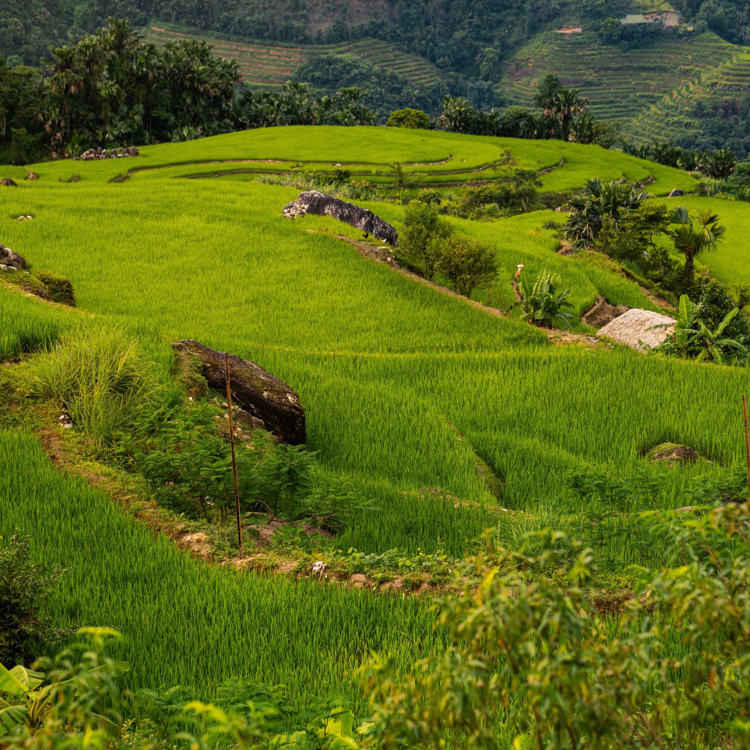 Khuoi My – Lung Vai- Na Mau – Xa Phin- Hươu waterfall- Nam Te Trekking tour 2 days 1 night