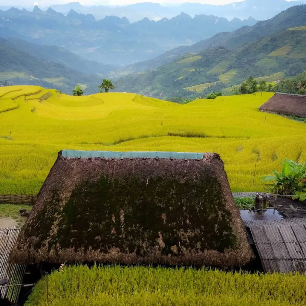TVpalm - TVpalm Ecolodge & Tour | Sustainable tourism in Ha Giang: TVPalm Ecolodge’s pioneering strategy