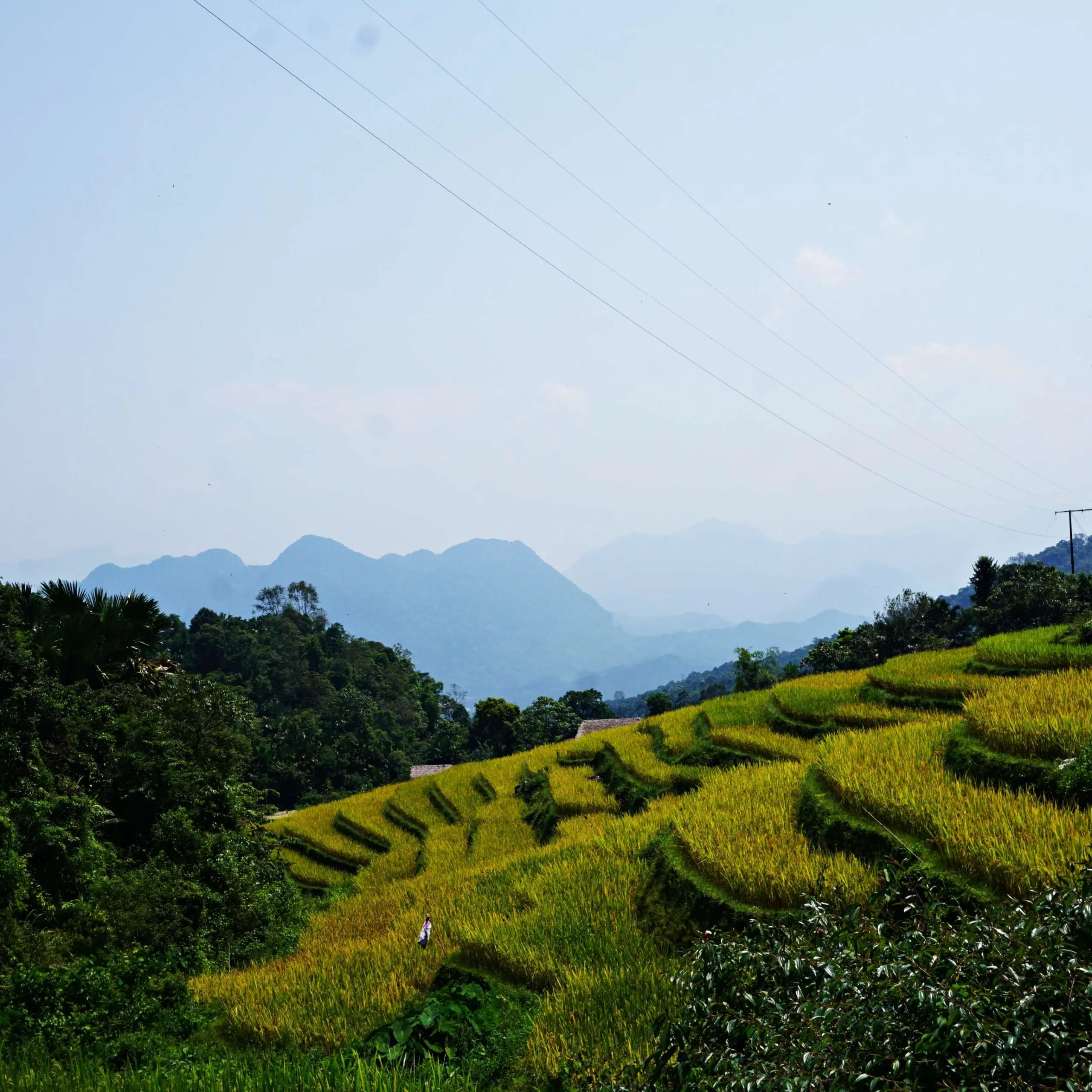 Hanoi – Tuyen Quang- Ha Giang Loop – Cao Bang – Ban Gioc waterfal – Ba Be lake 7 days 6 nights