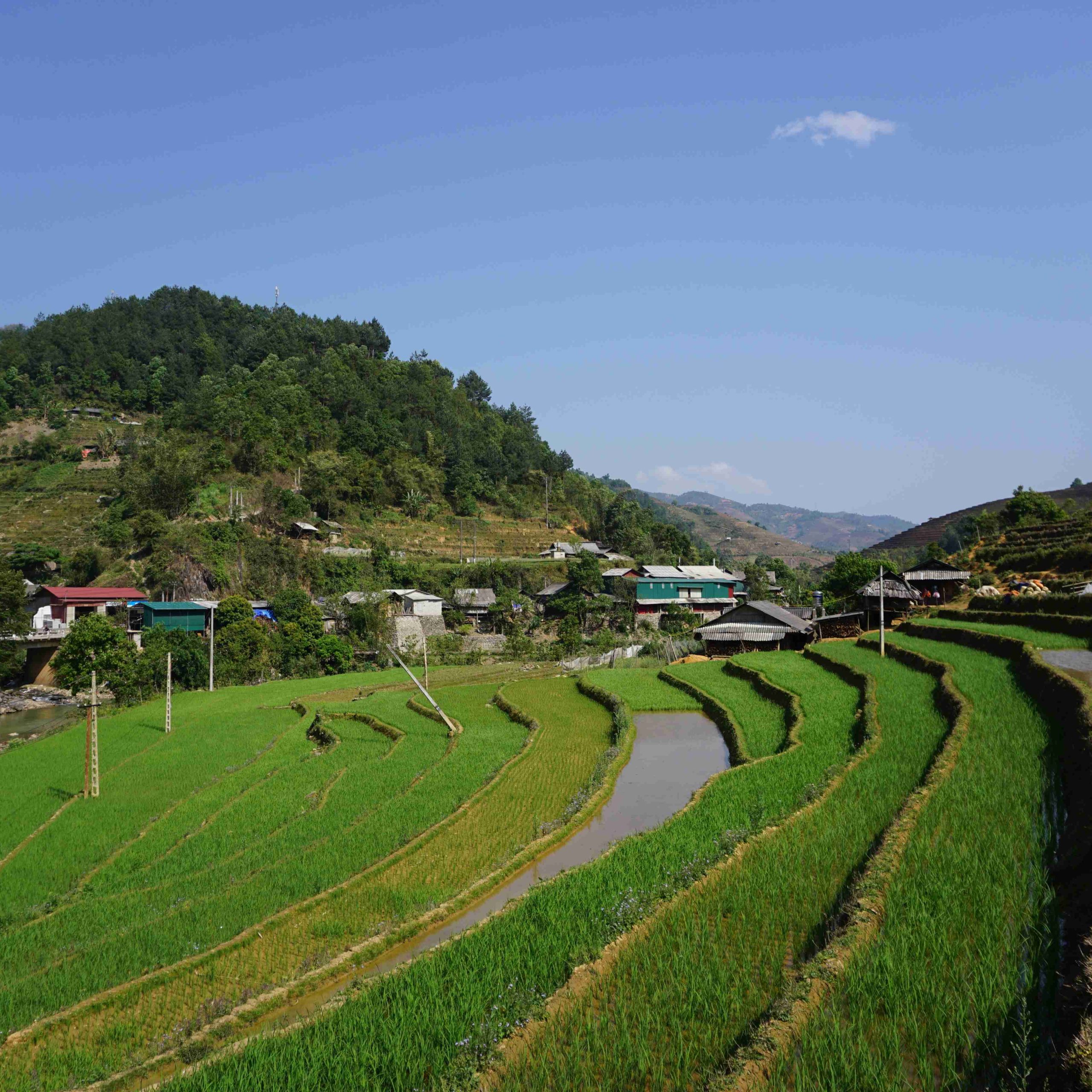 Ha Giang Loop 3 Days 2 Nights Moto Tour