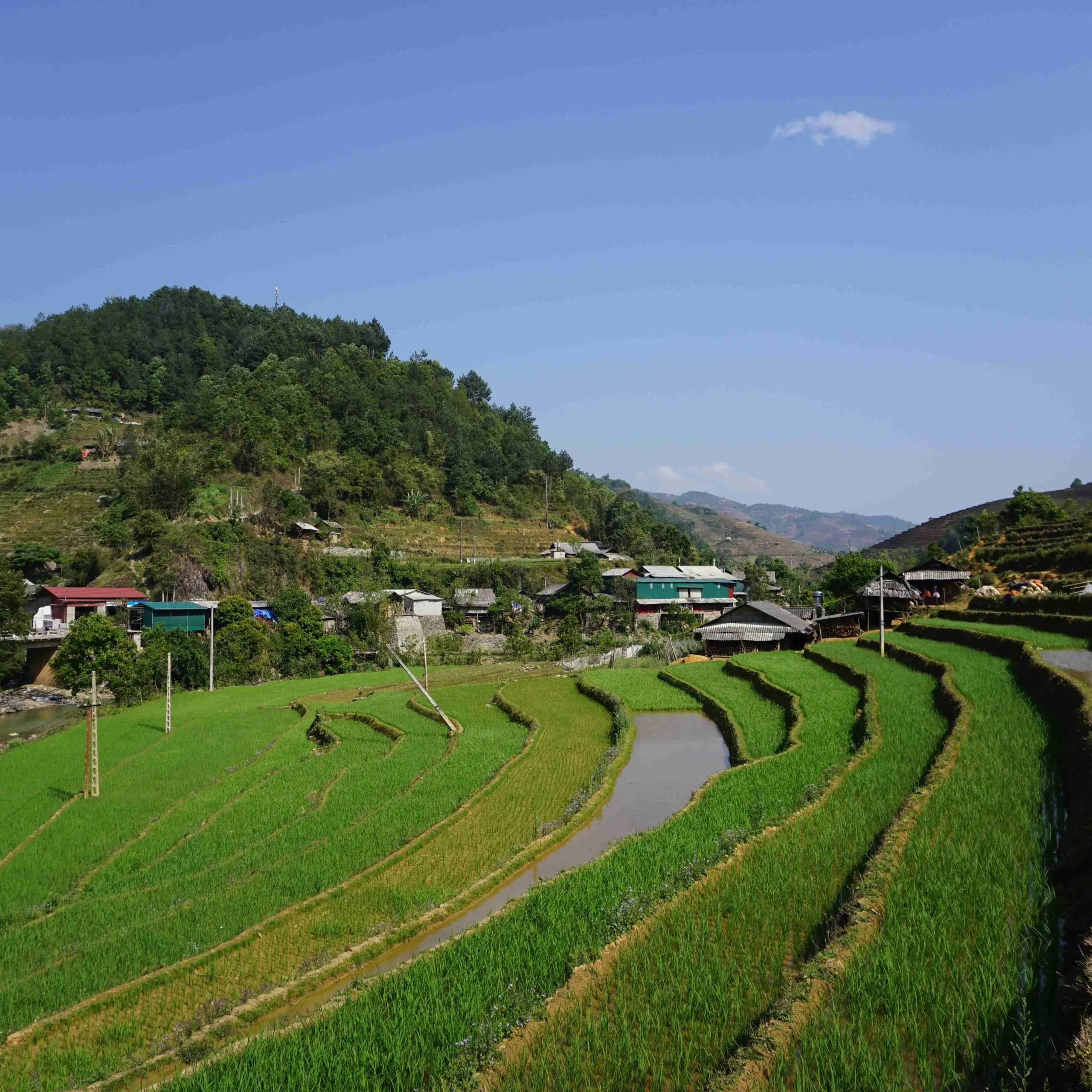 Ha Giang Loop 3 Days 2 Nights Moto Tour