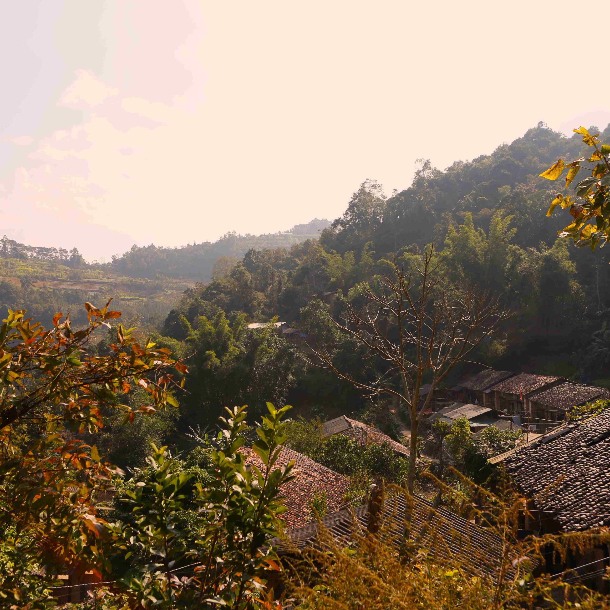 4 Days / 3 Nights Motorbike or Car Tour: Hanoi to Ha Giang Loop – Epic Scenery and Culture