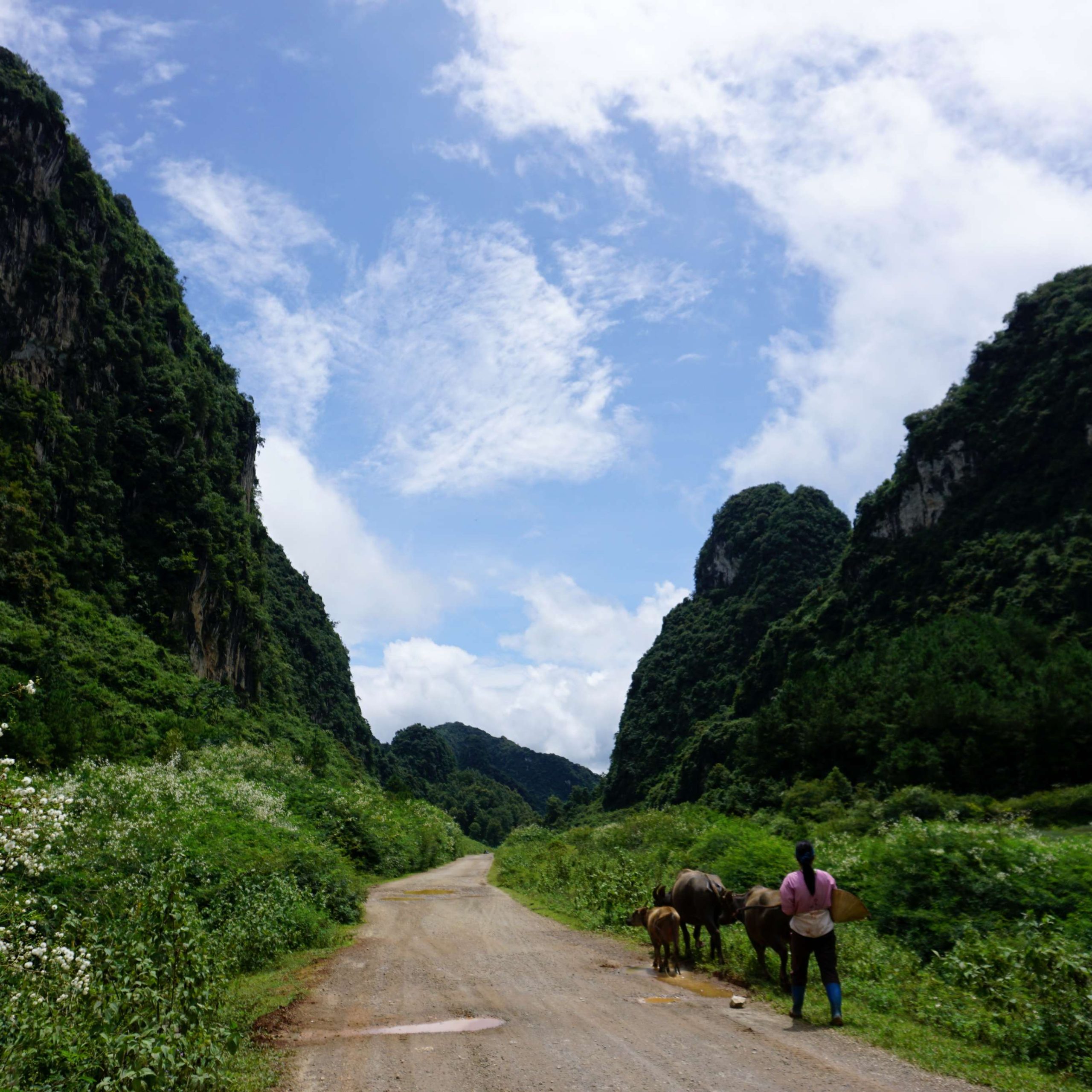 Hanoi – Tuyen Quang- Ha Giang Loop – Cao Bang – Ban Gioc waterfal – Ba Be lake 7 days 6 nights