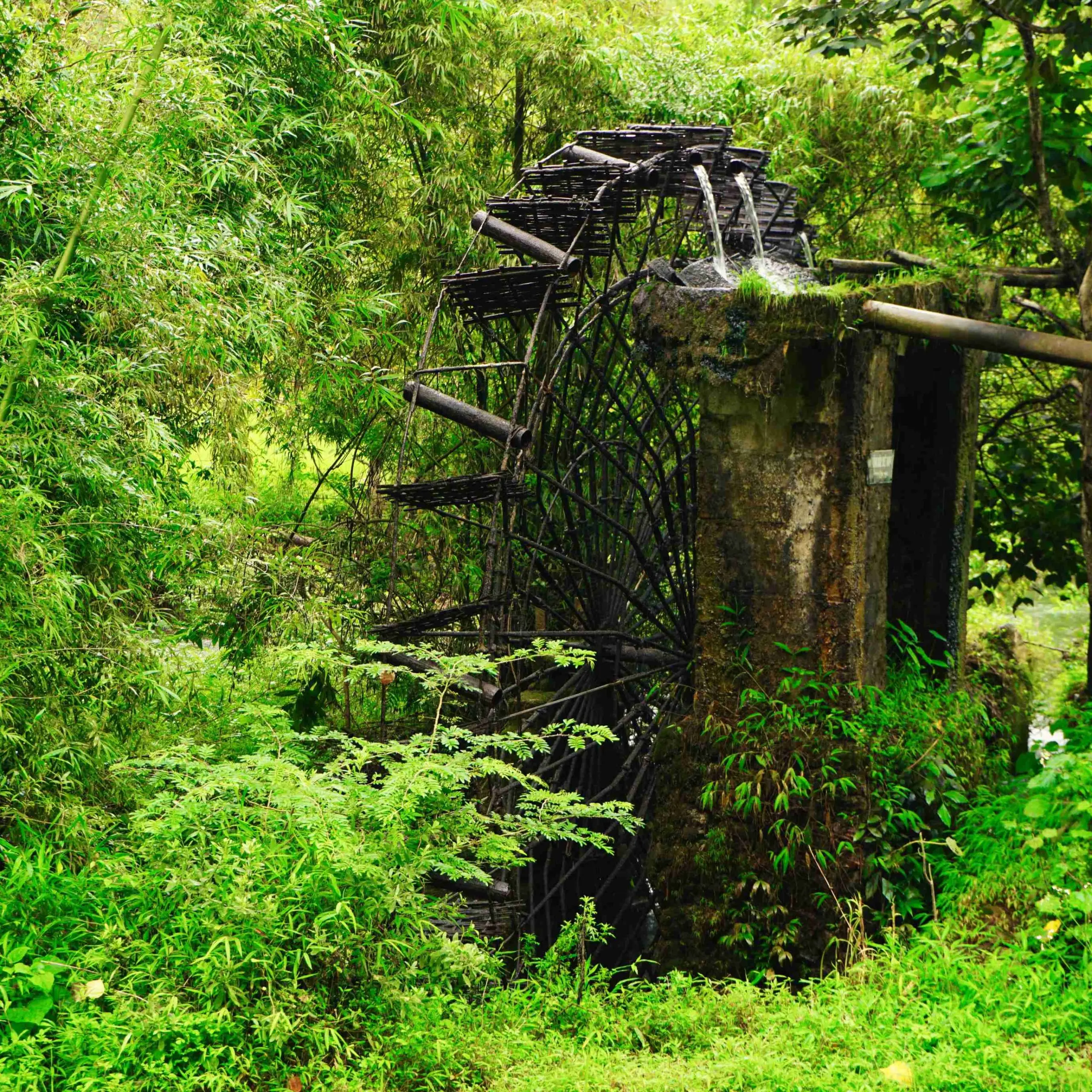 Hanoi – Tuyen Quang- Ha Giang Loop – Cao Bang – Ban Gioc waterfal – Ba Be lake 7 days 6 nights