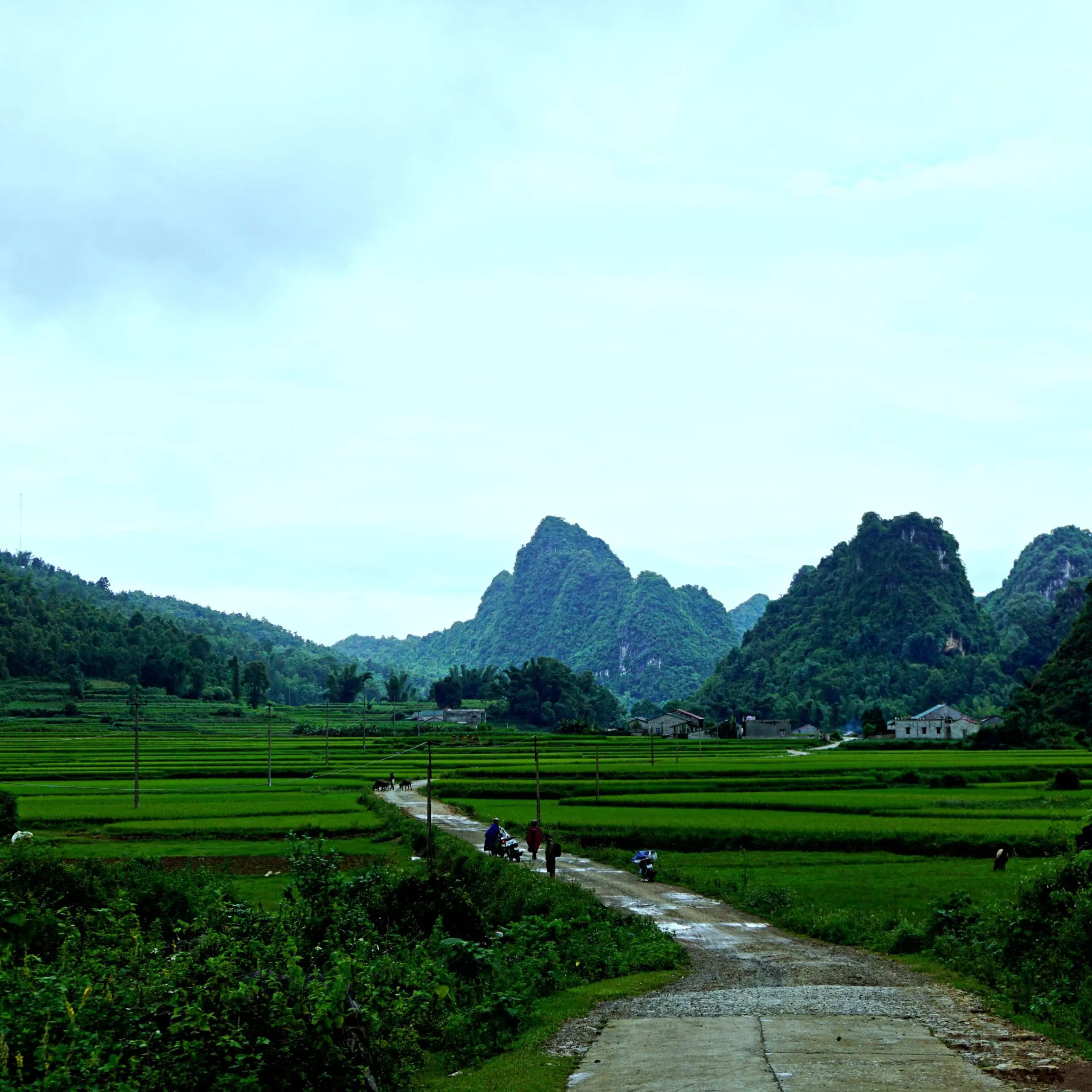 Hanoi – Tuyen Quang- Ha Giang Loop – Cao Bang – Ban Gioc waterfal – Ba Be lake 7 days 6 nights