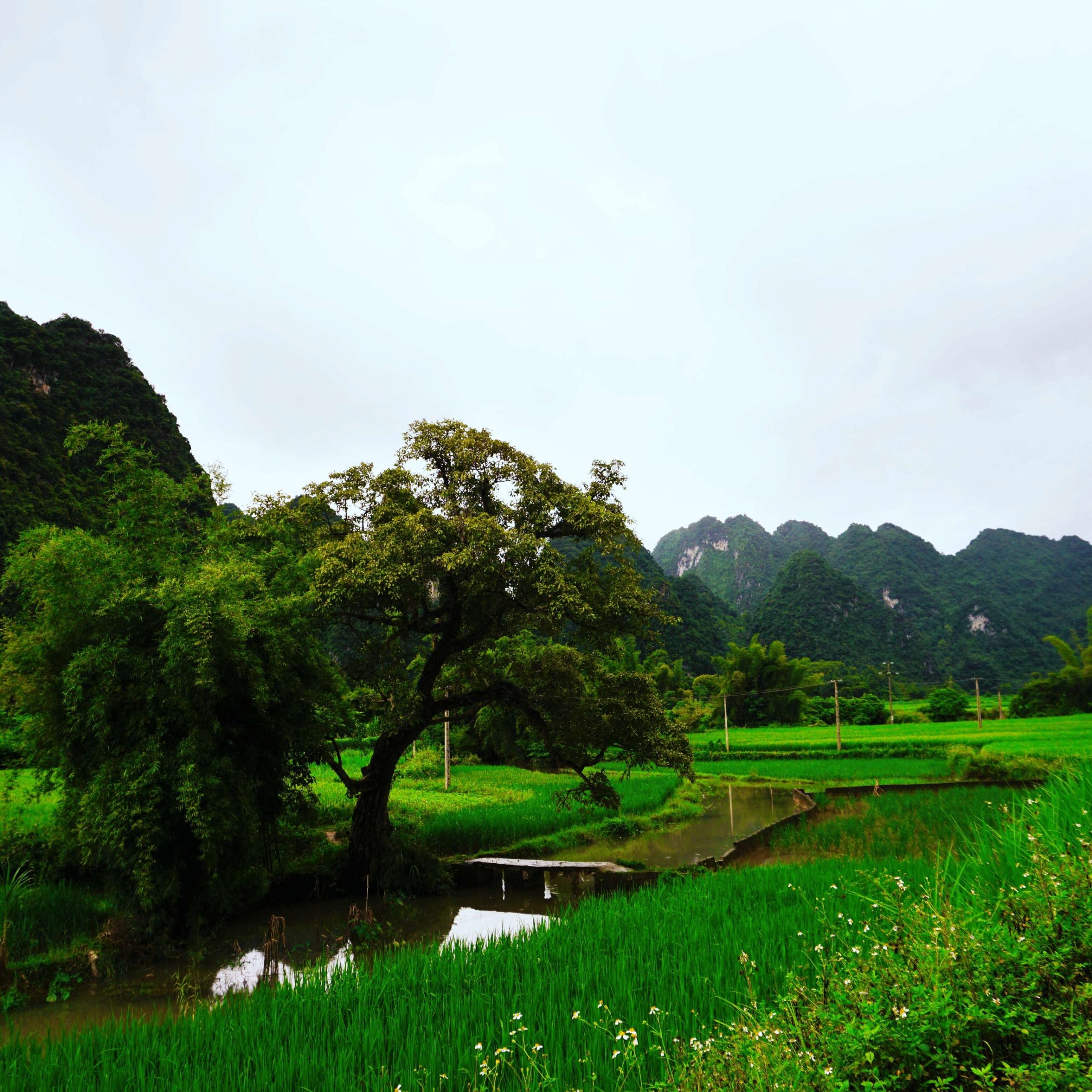 Hanoi – Tuyen Quang- Ha Giang Loop – Cao Bang – Ban Gioc waterfal – Ba Be lake 7 days 6 nights