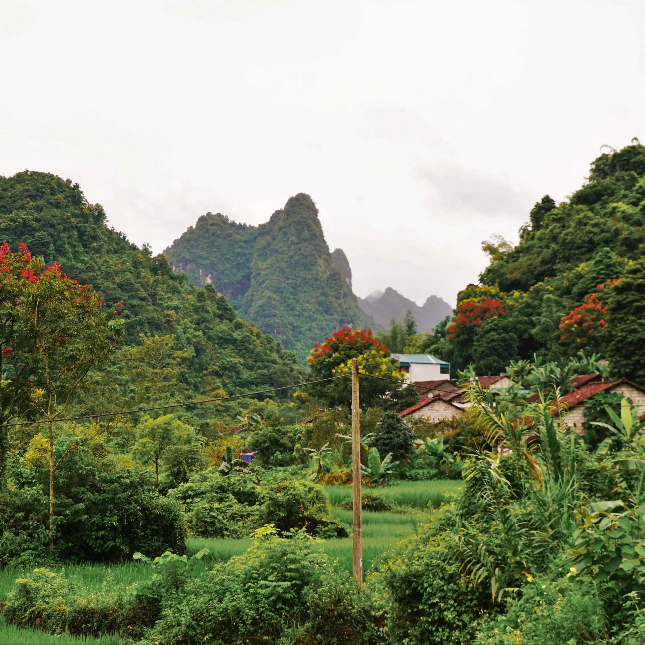 Hanoi – Tuyen Quang- Ha Giang Loop – Cao Bang – Ban Gioc waterfal – Ba Be lake 7 days 6 nights