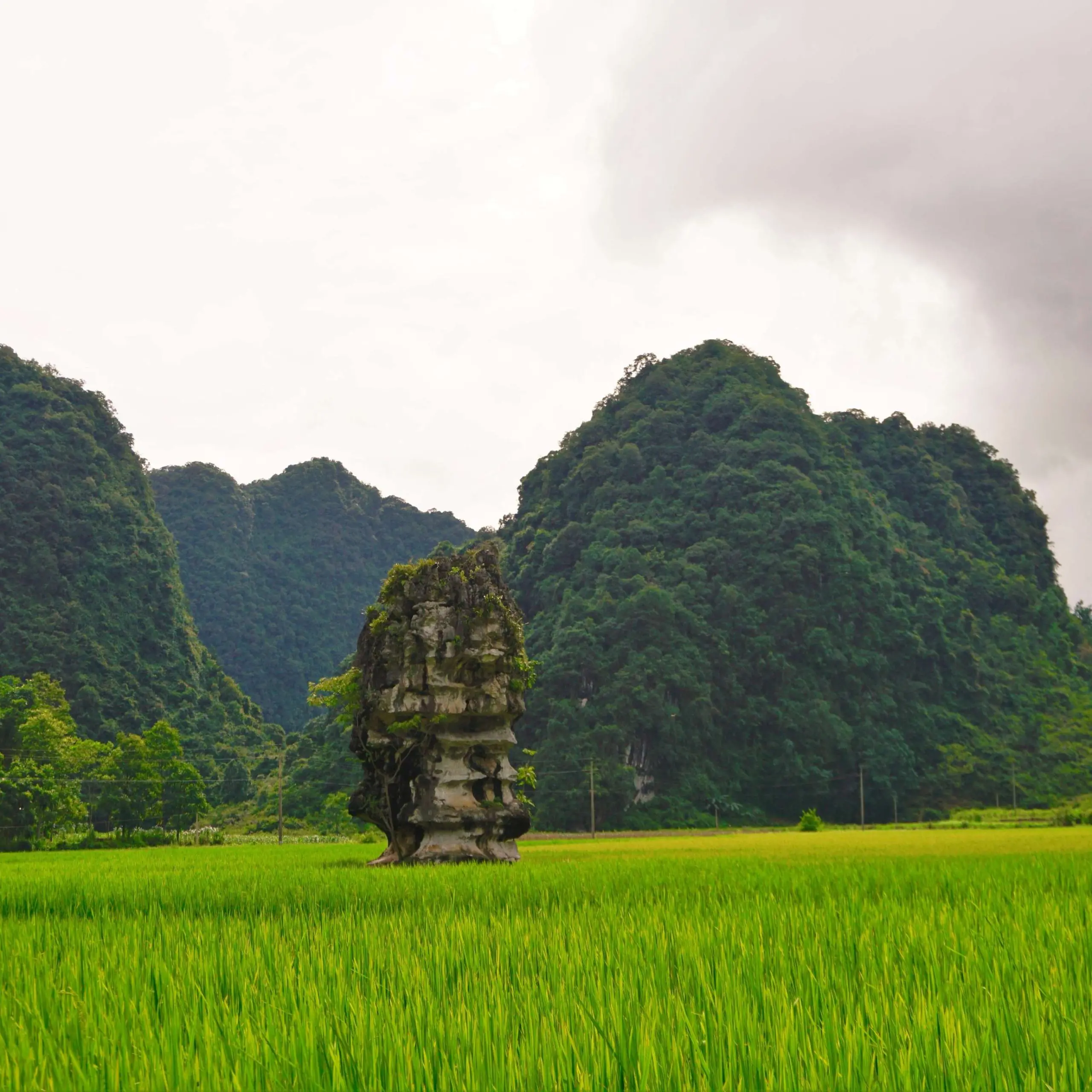 Hanoi – Tuyen Quang- Ha Giang Loop – Cao Bang – Ban Gioc waterfal – Ba Be lake 7 days 6 nights
