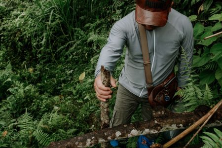 Wander through the enchanting Yen Minh pine forest: A nature Lover’s paradise