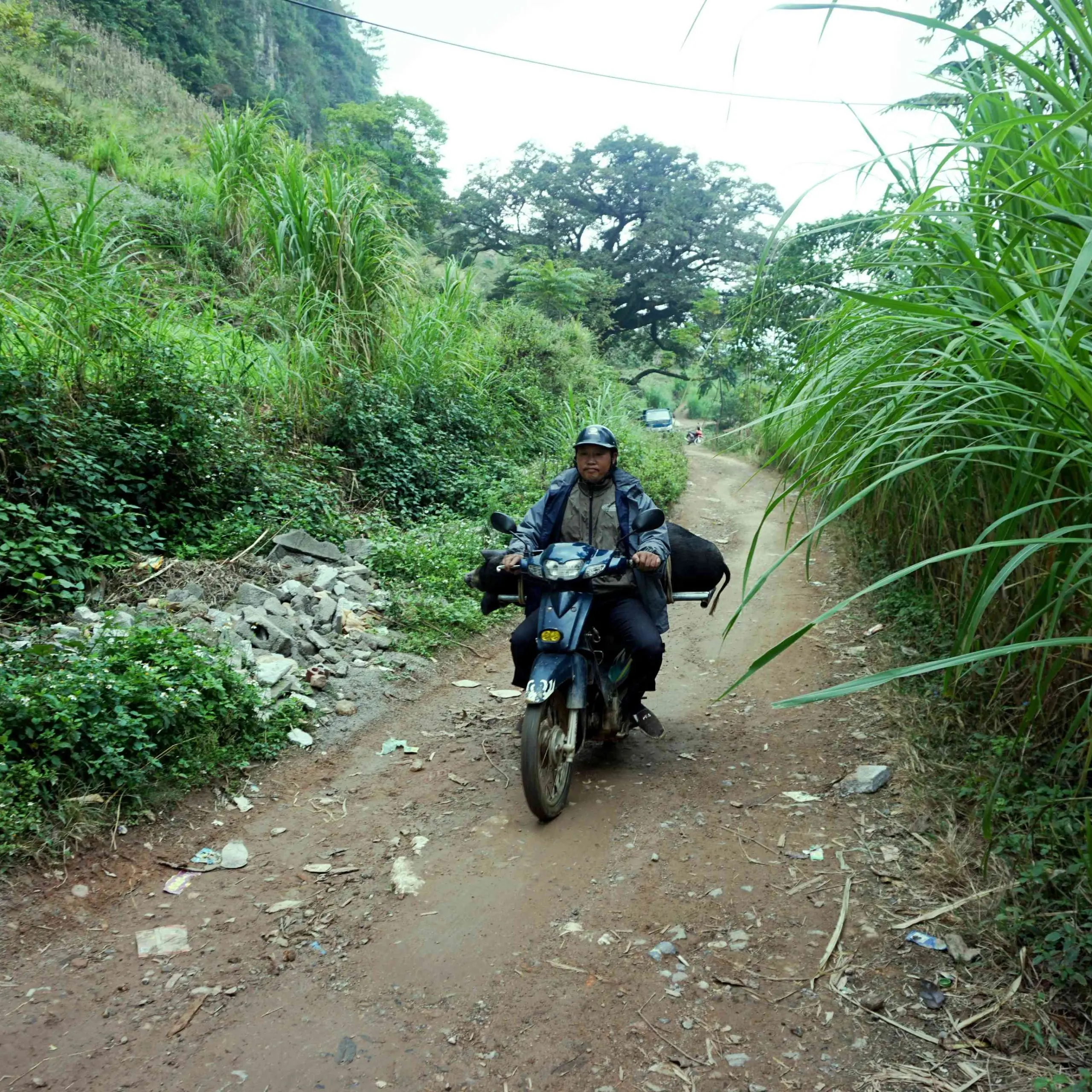 Hanoi – Tuyen Quang- Ha Giang Loop – Cao Bang – Ban Gioc waterfal – Ba Be lake 7 days 6 nights