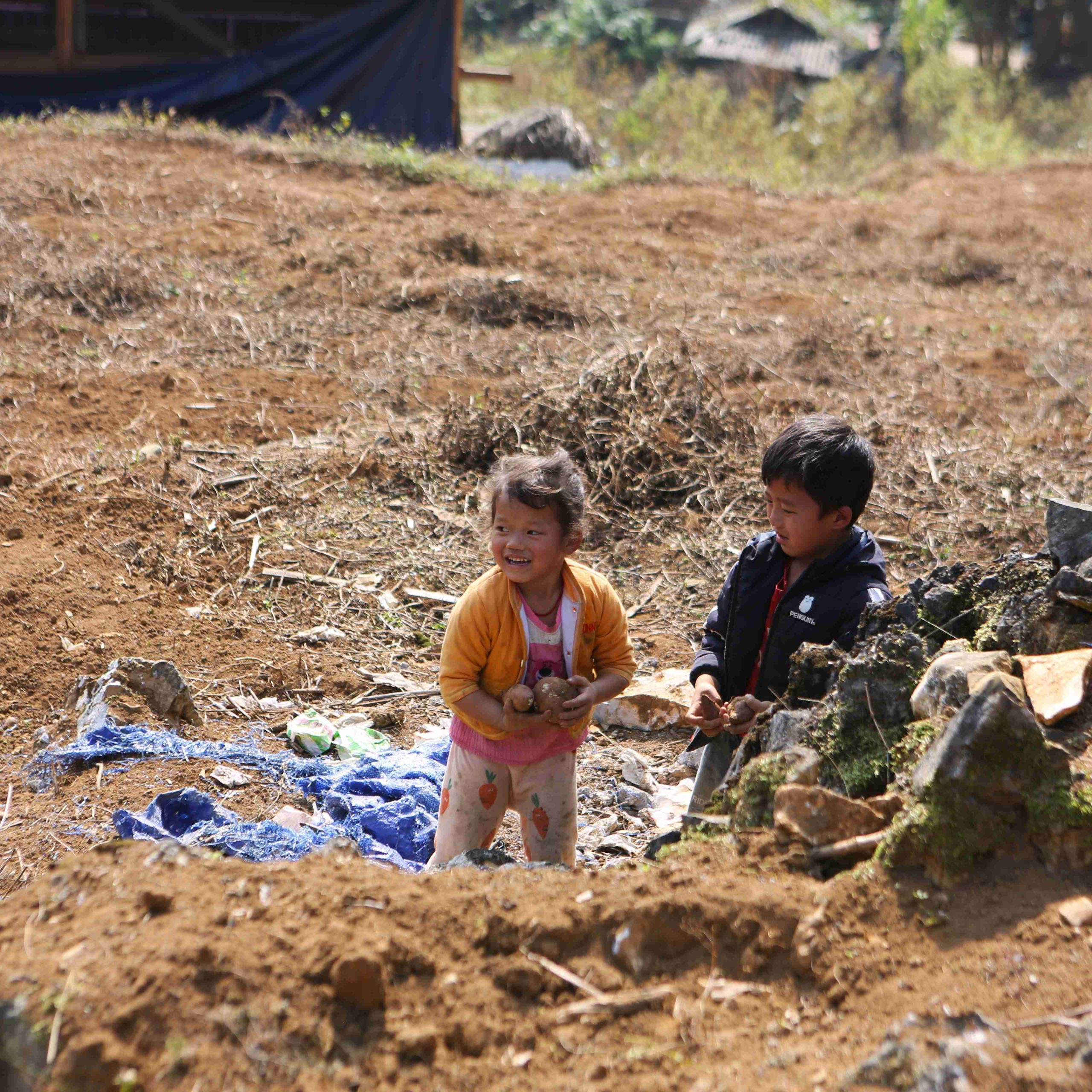 4 Days / 3 Nights Motorbike or Car Tour: Hanoi to Ha Giang Loop – Epic Scenery and Culture