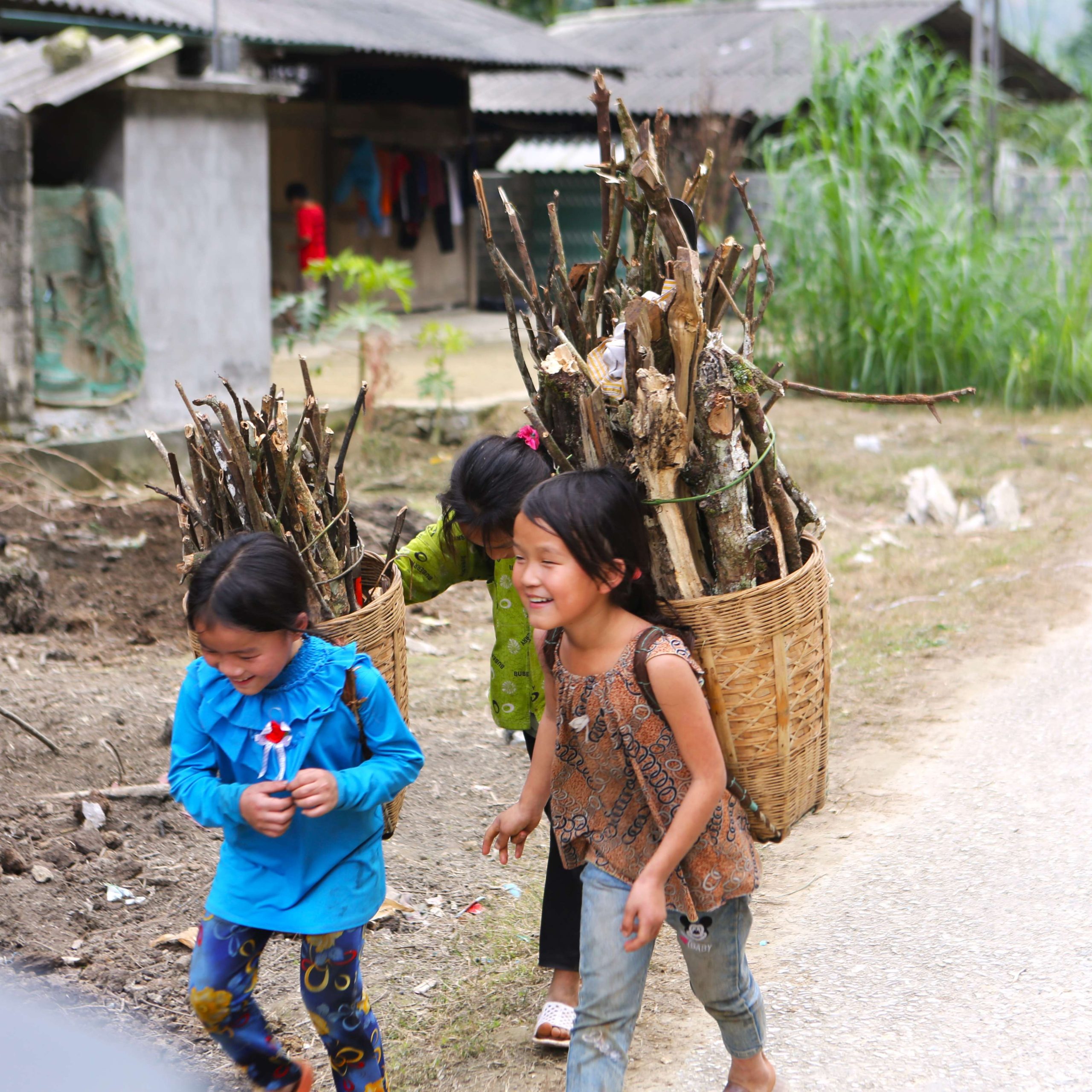 Hanoi – Tuyen Quang- Ha Giang Loop – Cao Bang – Ban Gioc waterfal – Ba Be lake 7 days 6 nights