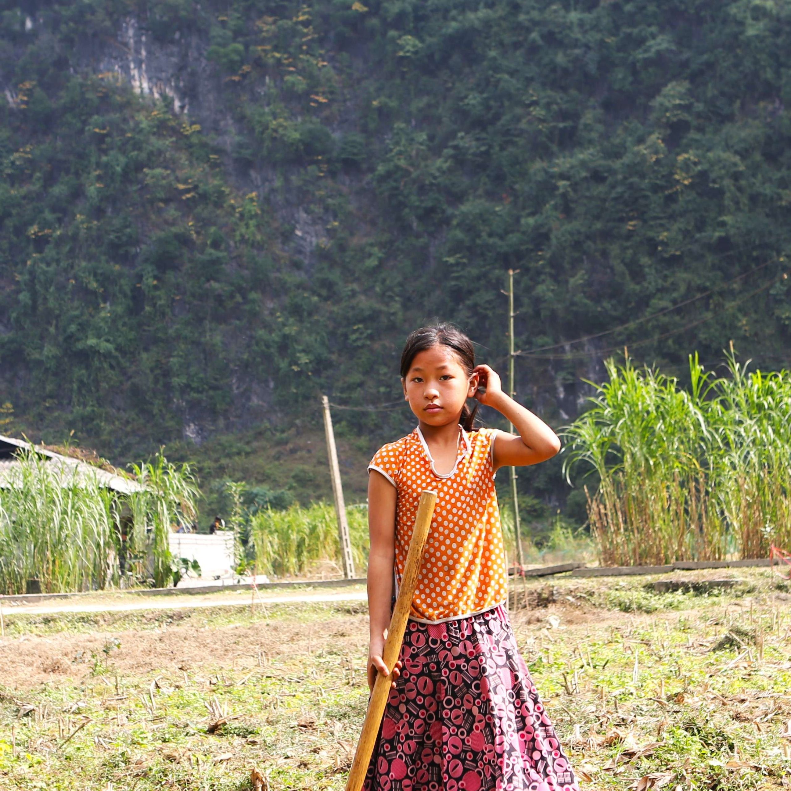 Hanoi – Tuyen Quang- Ha Giang Loop – Cao Bang – Ban Gioc waterfal – Ba Be lake 7 days 6 nights