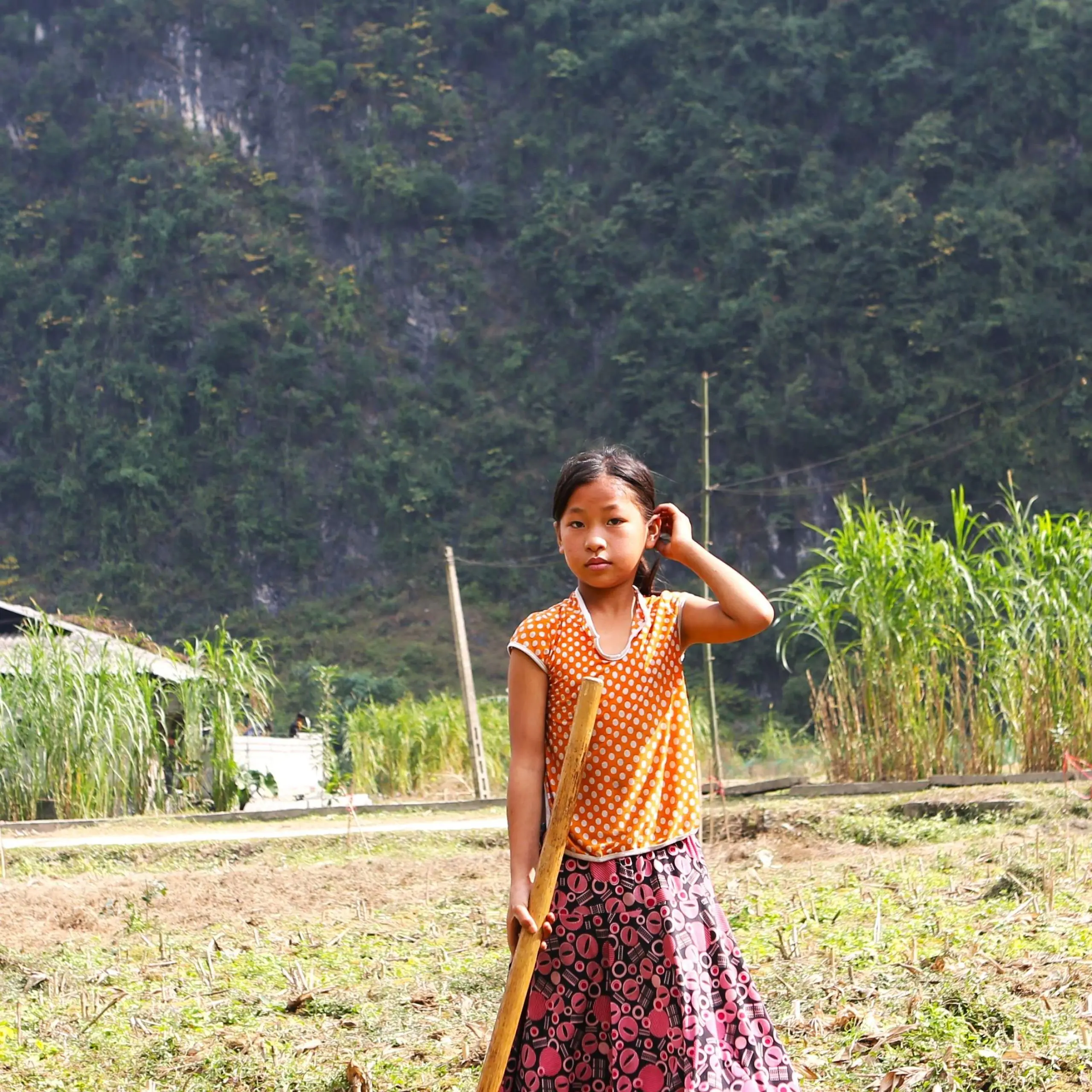 Hanoi – Tuyen Quang- Ha Giang Loop – Cao Bang – Ban Gioc waterfal – Ba Be lake 7 days 6 nights